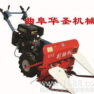 ����ʽ���ݸ�ɹ�� С�����׽ո��ո��