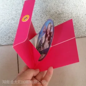 光碟套,卡套,创意光碟套