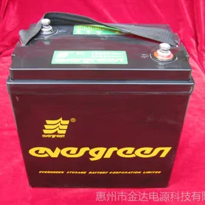 厂家批量供应8V***免维护电动汽车蓄电池