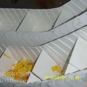 塑料网带挡板提升机