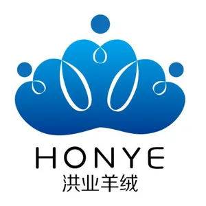 内蒙古洪业羊绒制品有限公司