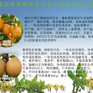 ������������ ������������� ���������翹���溦 ������ �ڸк� �۸��Ż�