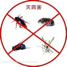 咸阳“上门灭蟑螂”骗局 为何成打不死的“小强”