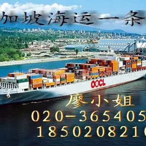 供应中国到新加坡运输专线海运和空运门到门服务