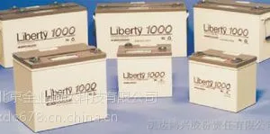 保利时蓄电池报价