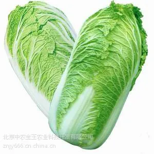 ��Ӧ�������ڽ�-���޲�����