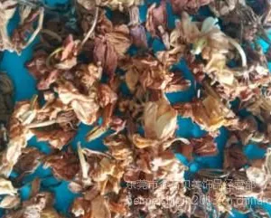 供应茉莉干花供应商/香包填充干花茉莉干花/茉莉干花供应批发/香包干花