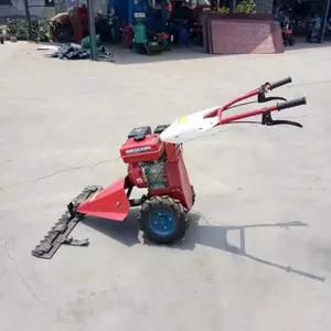 ԰�ּ��ݻ� ����ʽ���ݻ� ������