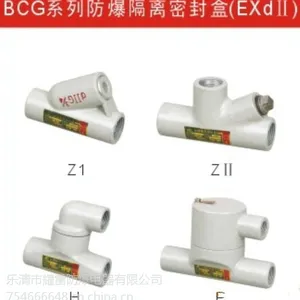 CG防爆隔离密封盒,BCG隔离密封盒价格,耀雷防爆厂家直销