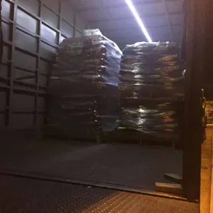 רע������˳������������