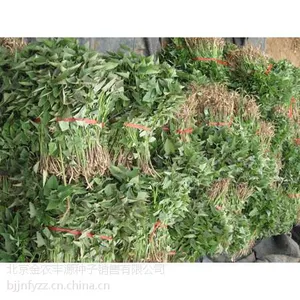 ũ��Ժ������������Ԥ����������