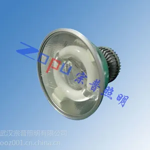 GC106免维护节能无极灯