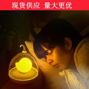 创意夜市地摊热卖货源 鸟笼灯小夜灯 小鸟随手感应灯 led充电台灯