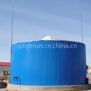 专业生产养殖场沼气池