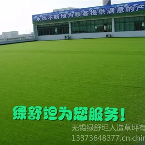 供应供应10mm超实惠***,超柔软屋顶绿化,幼儿园装饰PP草坪
