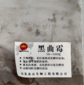 供应黑曲霉