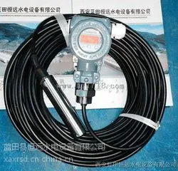 前池投入式液位计XPT135液位变送器电缆长度