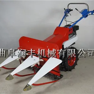 ��ӦС�͵����ո�� С�ɷ���ũ�������ո�� ����е