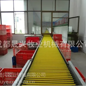 【晟兴牧业】蛋鸡设备—中央集蛋系统