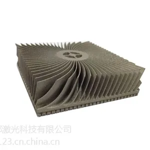 供应汽车关键零件金属3D打印-散热器