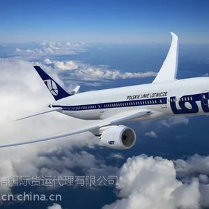 国际空运进出口,深圳国际机场起飞。为客户提供快捷高效的服务