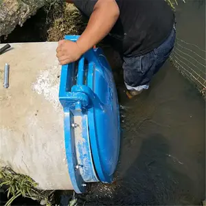 �������������������ŵ� ֱ��300�Ķ���Ǯһ̨