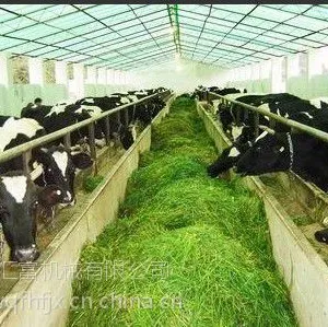 厂家***新型揉搓机 高效率低耗能稻草揉搓机