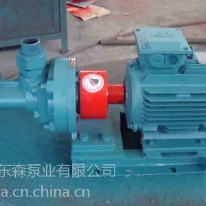 东森供应CYZ型离心磁力泵 自吸磁力泵 质量***