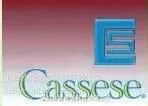 ����CASSESE��ǹ