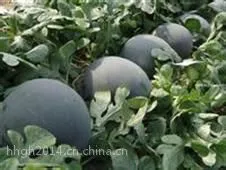 ��Ӧ�������������˺����Ϲ�������