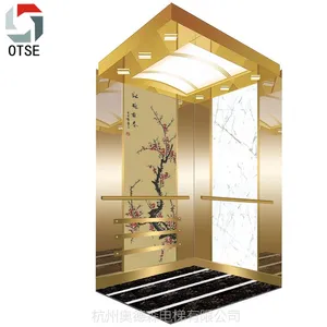 OTSE厂家直供低价客梯、货梯、家用小型电梯