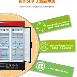 冷冻立式展示柜,澳洲牛肉冷冻展示柜,广州立式冷冻柜,东洋零下25度展示柜