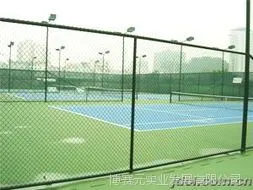 贵州学校护栏网/围网博赛元出售 黔南操场护栏网价格型号