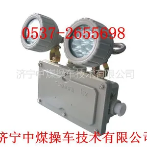 供应BAJ52 防爆应急灯,应急灯,矿用应急灯