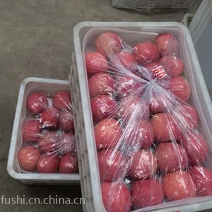 烟台苹果烟台红富士批发零售经销