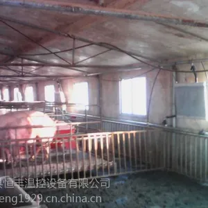 猪舍调温设备,养猪场加温锅炉
