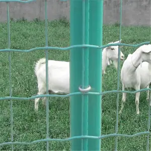 ��̩��ֳ�� ��ֳΧ�����۸� ������