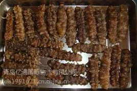 青岛干货代理进出口代理