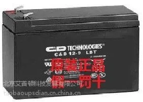 大力神蓄电池12V18AH C-D12-18LBT(西恩迪)