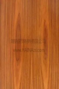 ��Ӧ������֦ľ����***��ǽ��