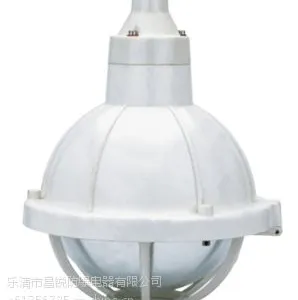 防水防尘防腐全塑灯,工业增安型防腐防爆灯,三防防爆灯