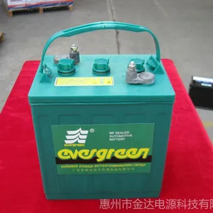 厂家批量供应8V电动高尔夫球车观光浏览车电瓶电动汽车蓄电池