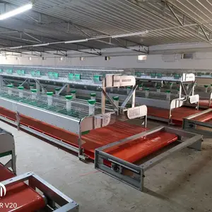 רҵ������������ ��ë�÷���һ���� �Զ�ι������ʽ���÷�ֳ���۸�