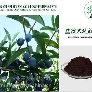 润木现货供应 蓝靛果提取物25%花青素