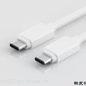 USB 3.1 C TYPE TO C TYPE CABLE 连接器