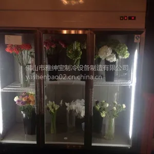 �����ʻ��� �붨�����л���ع� �ʻ�����ô��
