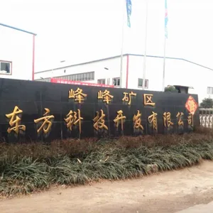 峰峰矿区新东方科技开发有限公司