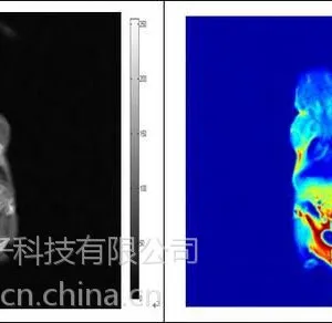造影剂弛豫率测定及造影剂在小鼠体内代谢过程测试