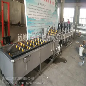 供应汇鸿牌HH-3500型芒果清洗机果蔬加工机械设备厂家直销