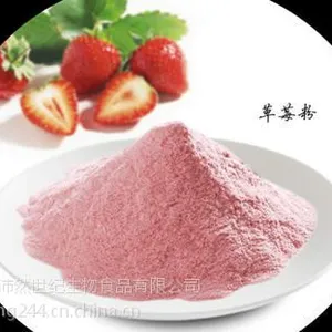 喷雾干燥果蔬粉